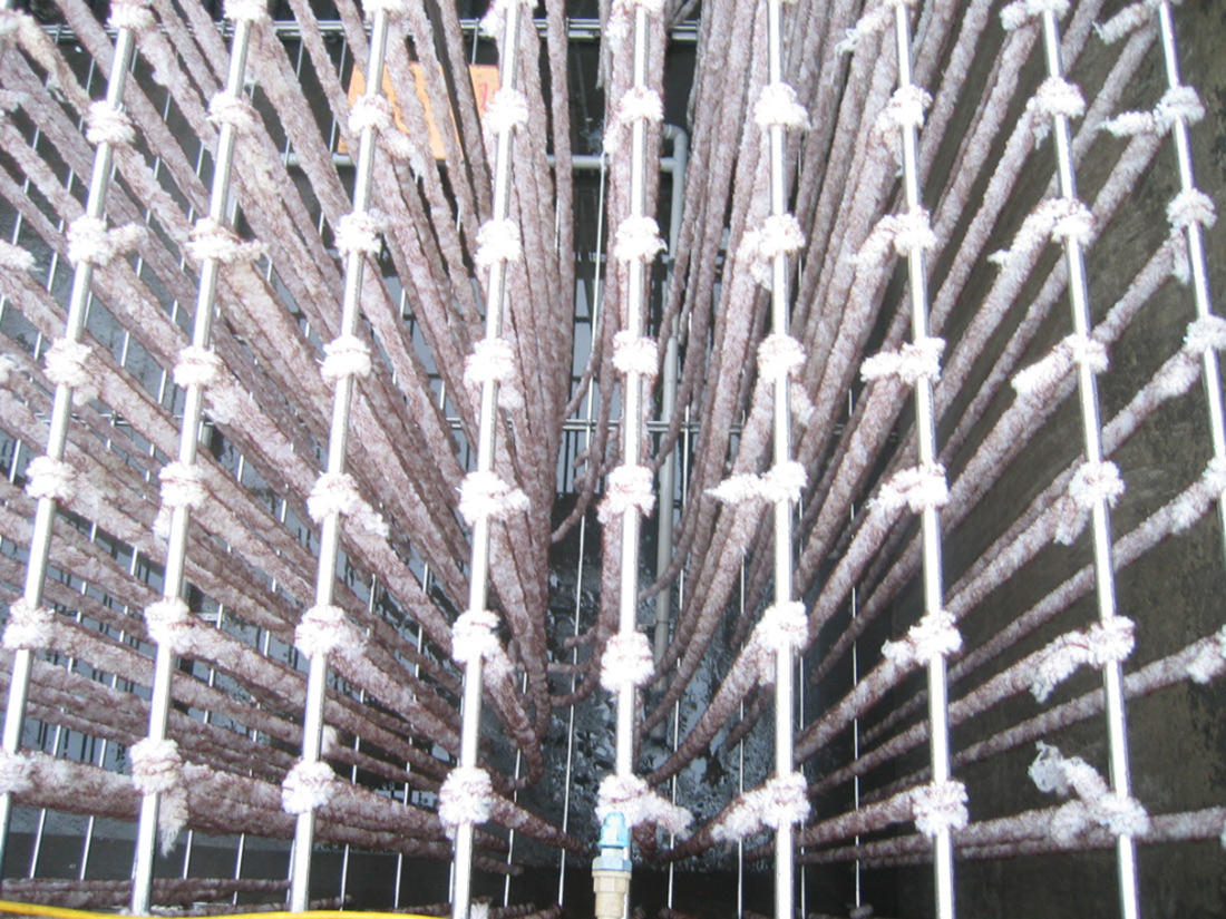 Environmental Engineering Aerator