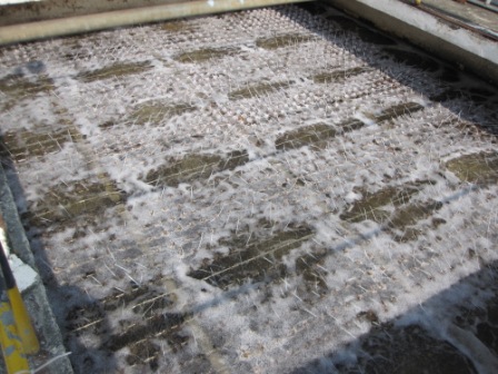 Environmental Engineering Aerator