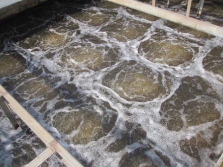 Environmental Engineering Aerator