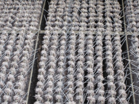 Environmental Engineering Aerator