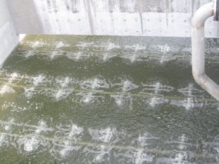 Shenzhen city- Longhua Sewage treatment plant​
